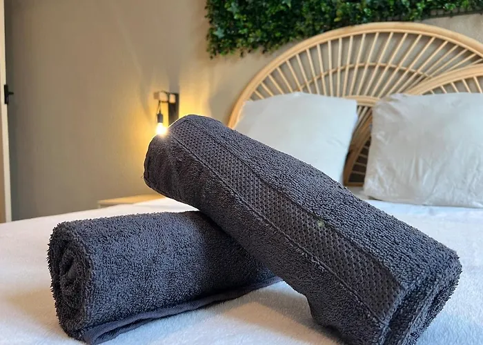 L'excellence, Joli T3 Bourgeois * Καρκασόν